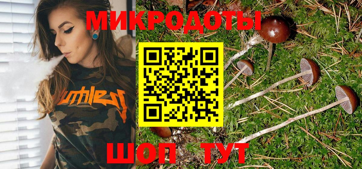 Галлюциногенные грибы Cubensis Батайск
