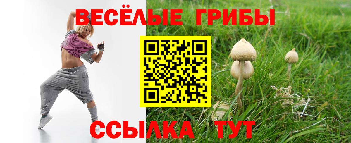 Псилоцибиновые грибы ЛСД  Вход с VPN  Галлюциногенные грибы мицелий  Батайск 